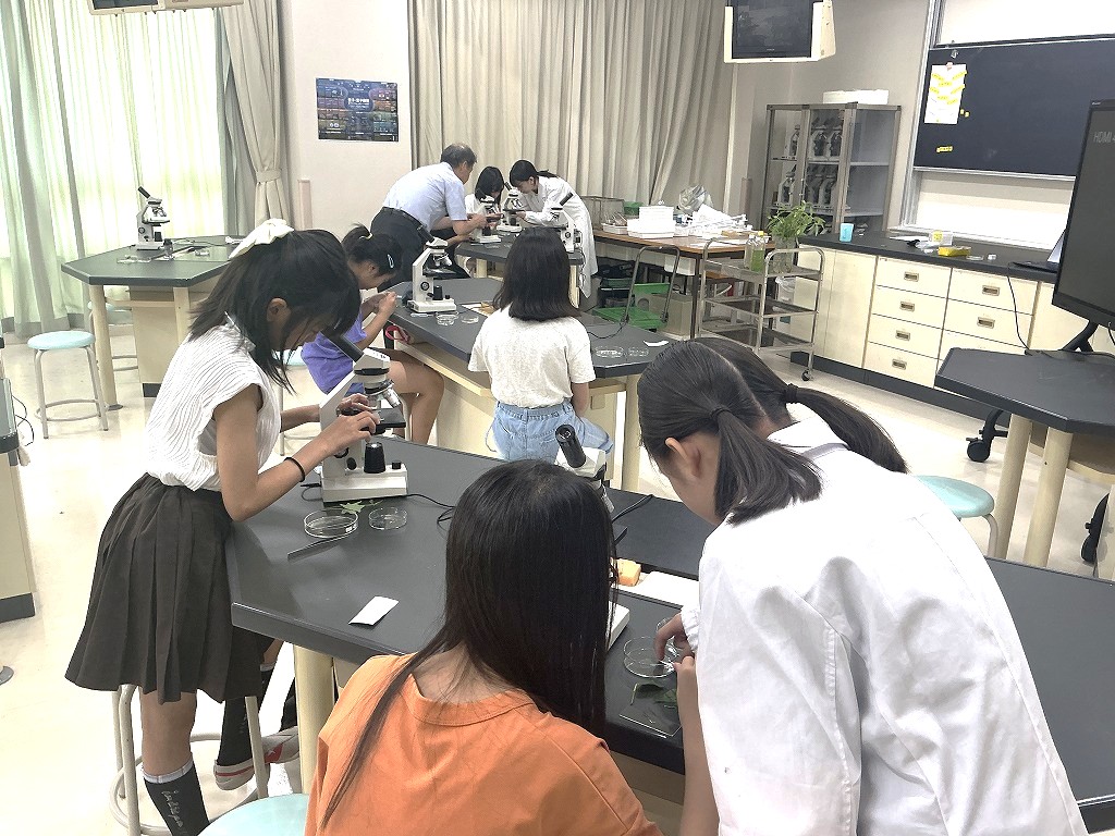 夏の体験学習＆学校見学会page-visual 夏の体験学習＆学校見学会ビジュアル