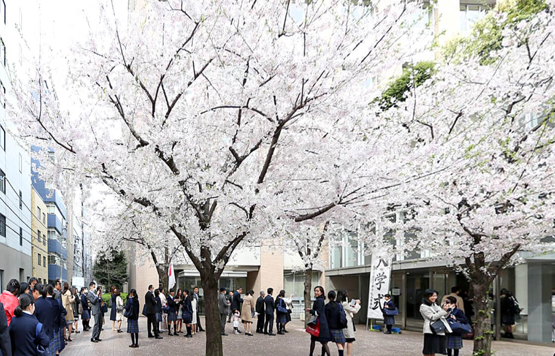 春の学校見学会
