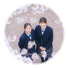 紹介ビデオ